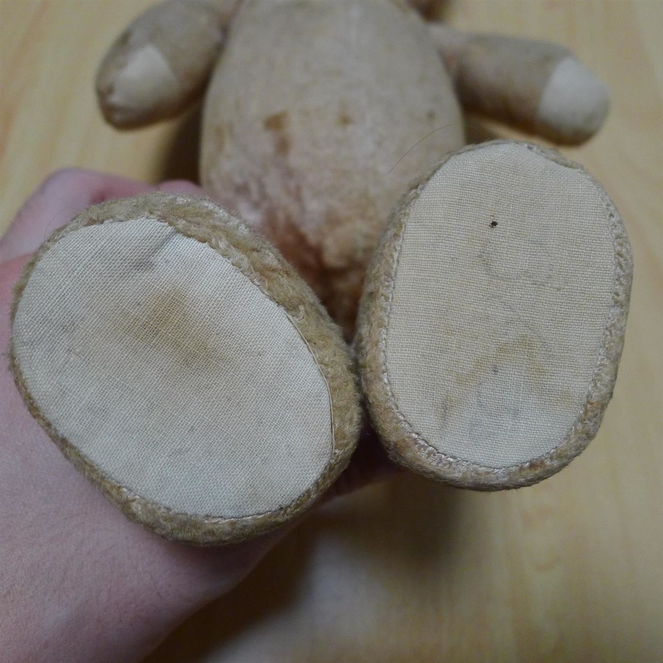 Bambole: Antiker Teddy, sehr guter Zustand – Usato da Ebikon venduto da SilvioFreund 4