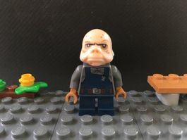 Lego Star Wars Minifigur - sw0710 - Ugnaught (75137)