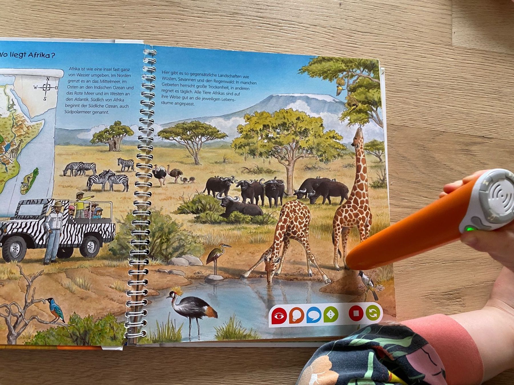 Bücher: diverseTiptois(Tiptoi Stift) – Gebraucht aus Zürich von tanya015 2