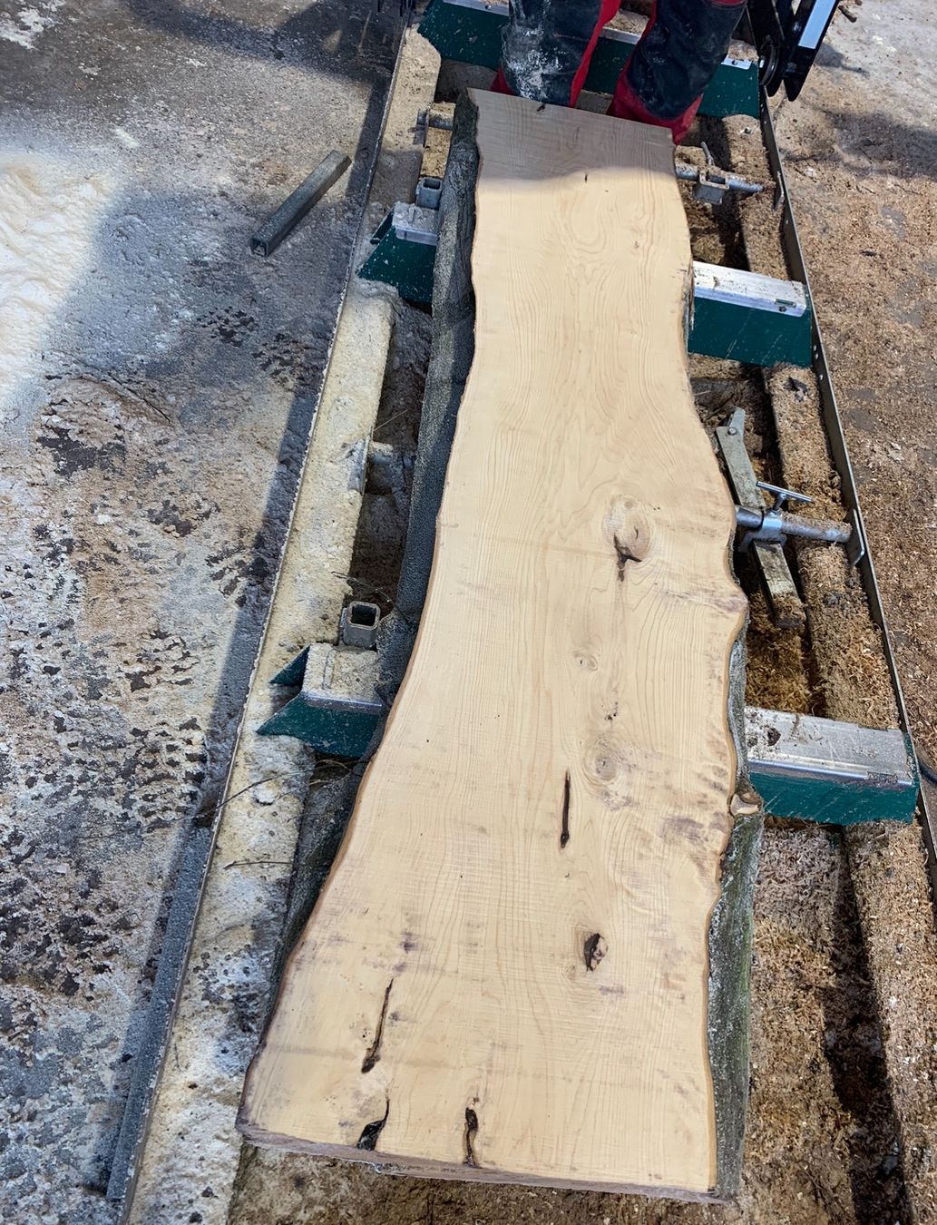 Articoli in legno: Bretter Hagenbuche – Nuovo (secondo la descrizione) da Holziken venduto da Timbergrizzly