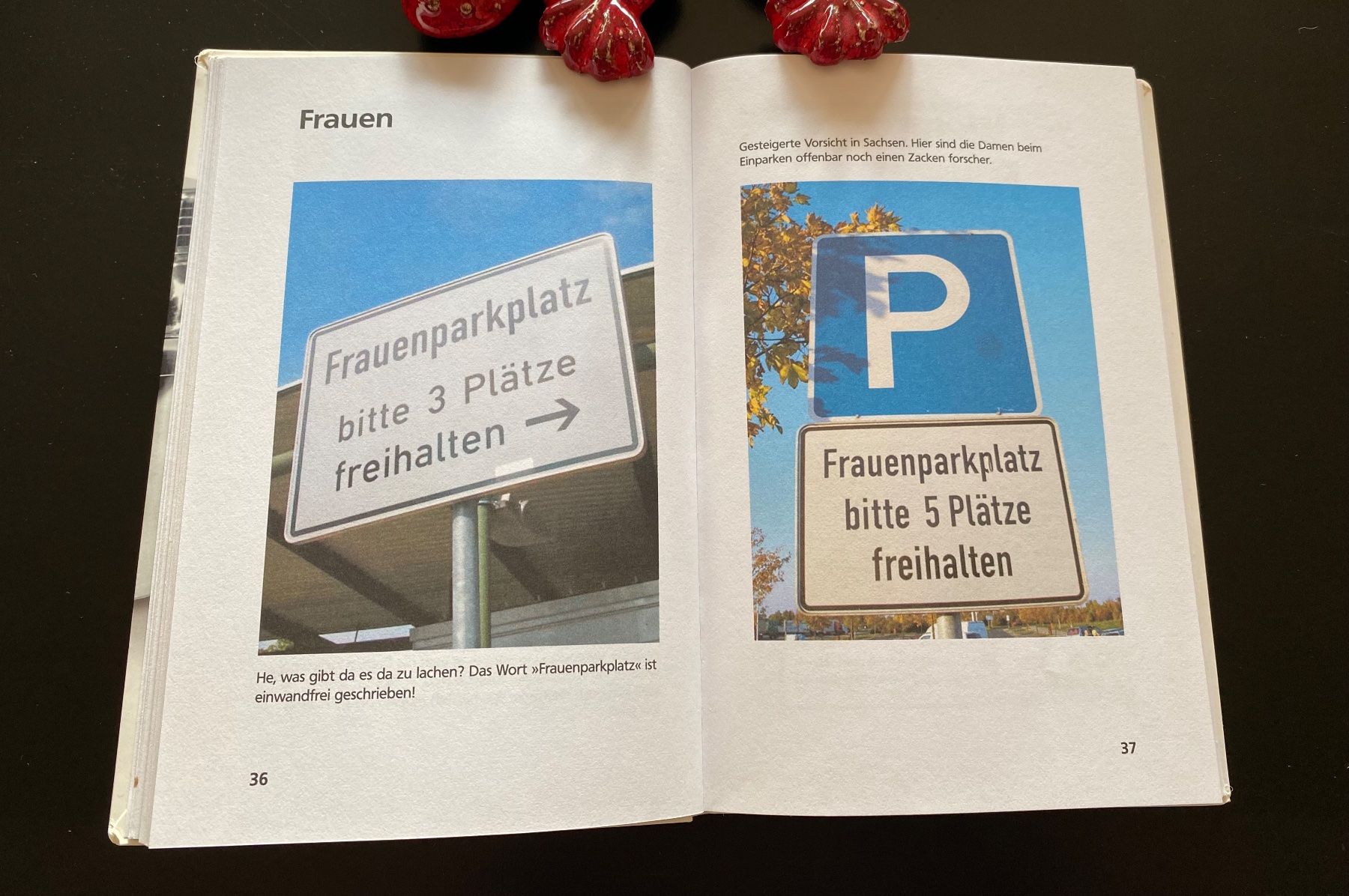 Bücher: Happy Aua von Bastian Sick – Gebraucht aus Nussbaumen AG von schuba2000 5