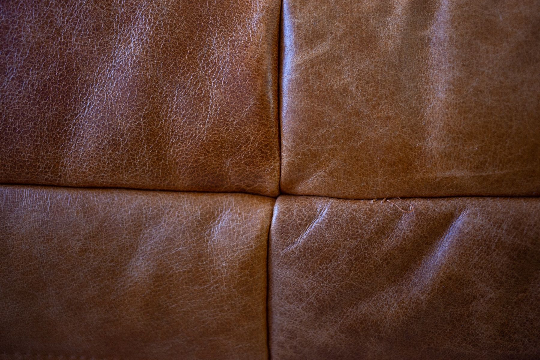 Ligne Roset Sofas: 3er Sofa Togo, neu bezogen mit Leder – Neu (gemäss Beschreibung) aus Zürich von ERATOMIUM 7