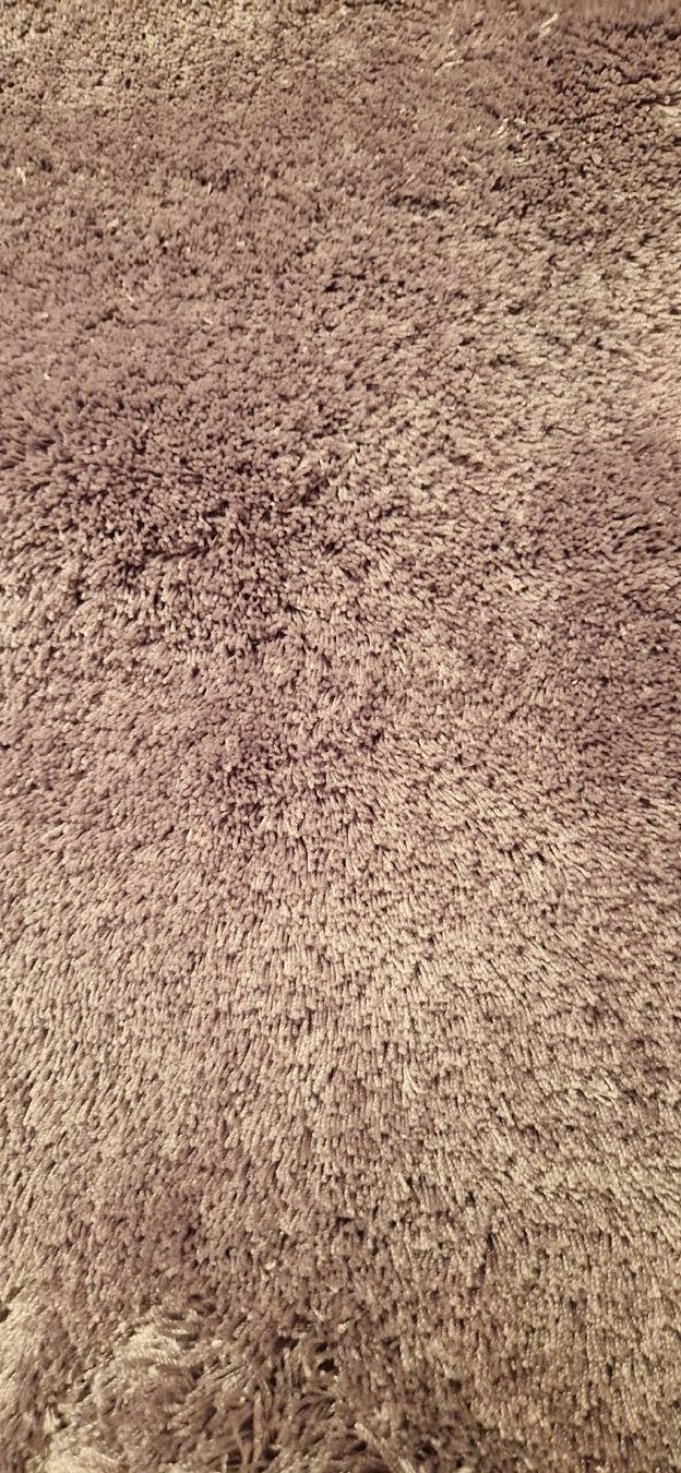 Tapis: Teppich – Neuf (Voir description) à Ulisbach par bri_ws2m 1