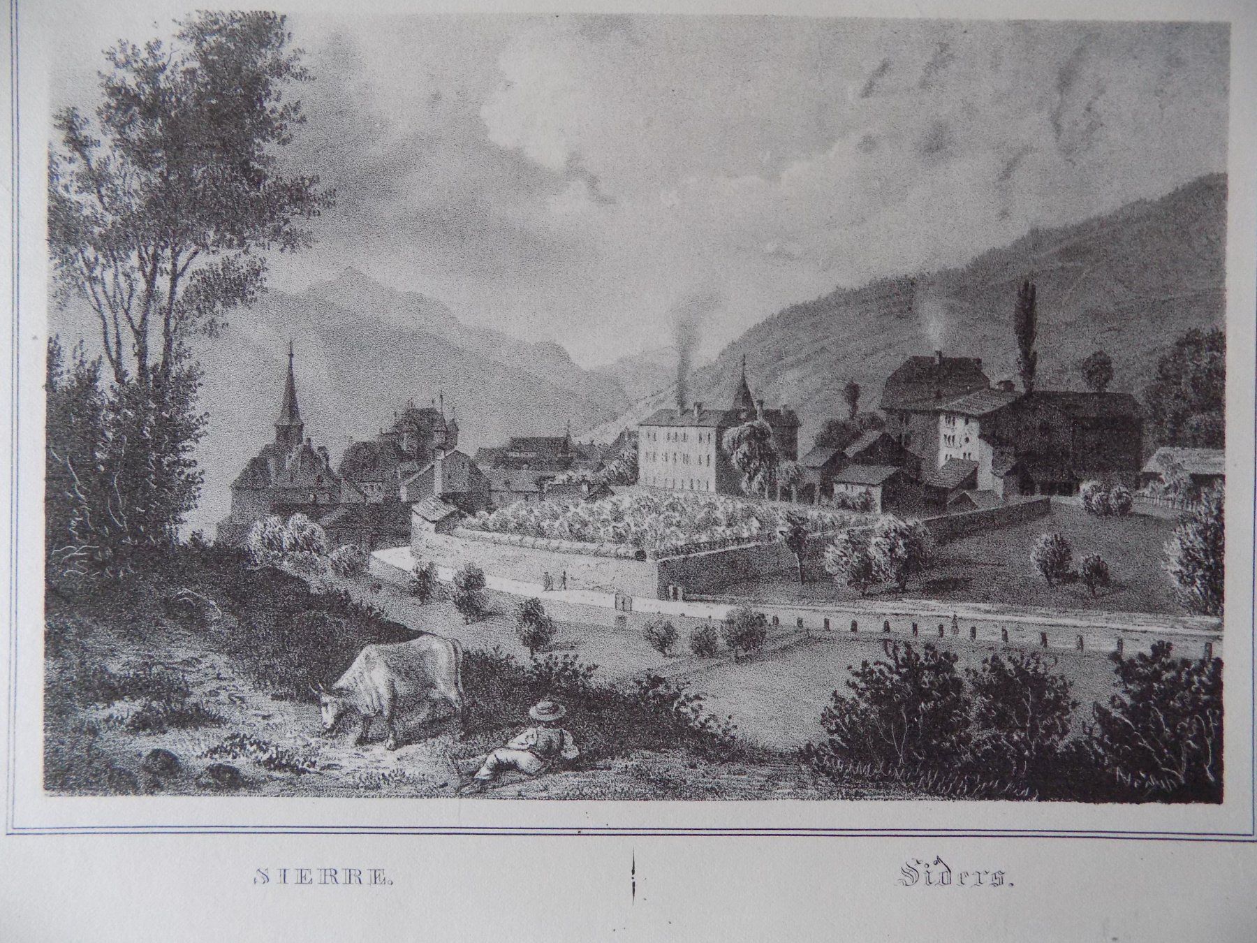 Incisioni: Sierre Siders Kanton Wallis – Usato da Risch venduto da Antikfee 1
