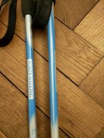 Nordic Walking Stöcke, grau/blau, Höhen verstellbar