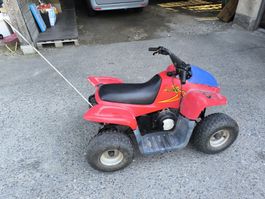 Kinder Quad Dinli Dino defekt