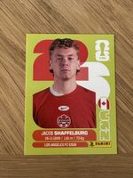 Panini 2026 CAN 14