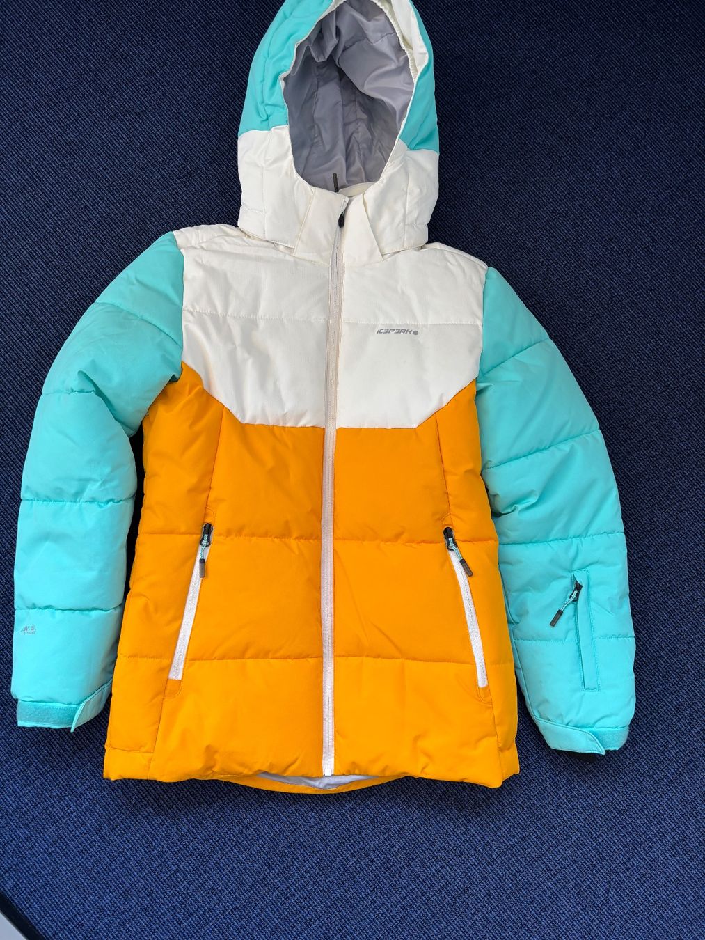 Icepeak Giacche: Ice Peak Skijacke – Usato da Altendorf venduto da UA019