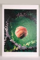 Leinwand 130cm x 90cm mit Motiv