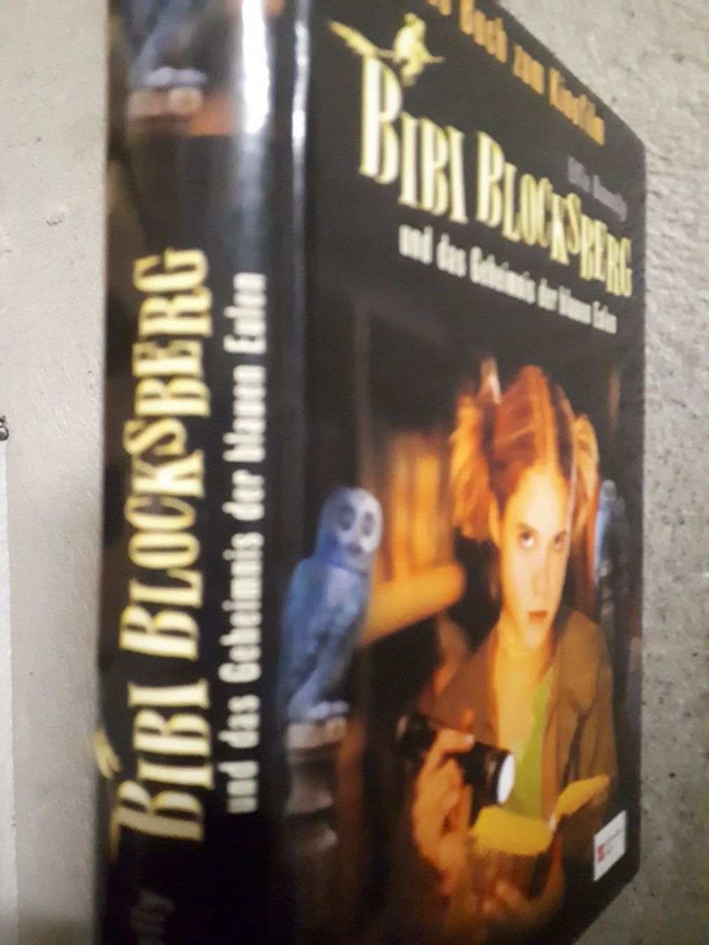 Libri: Elfie Donnelly Bibi Blocksberg – Usato da Basel venduto da Alacant 2