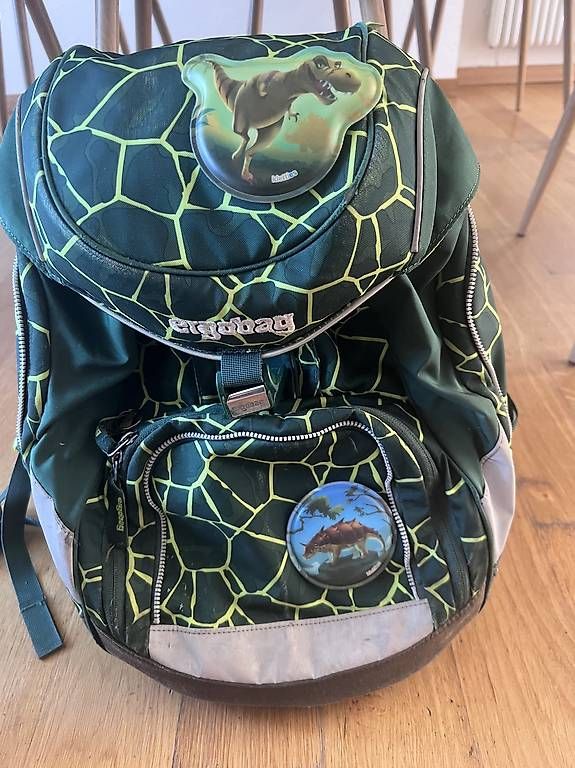 Ergobag Borse & Zaini: Ergobag – Usato da Bern venduto da franziskamaya