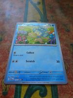 POKEMON  Panpour   I BLK EN  017/086   HP70   2025