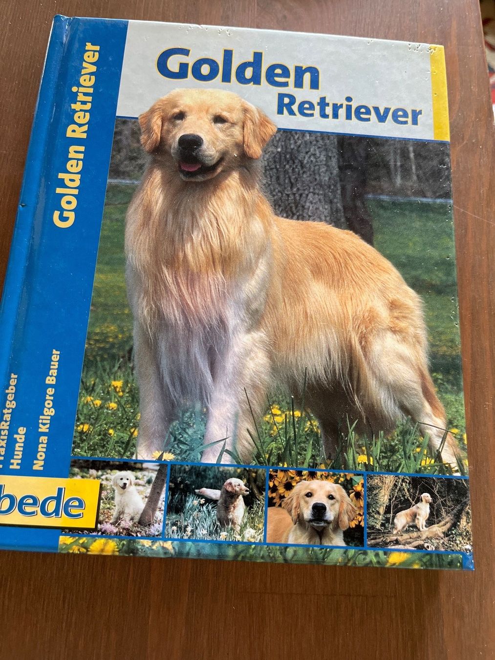 Libri: Golden Retriever – Usato da Ettingen venduto da bri_6bhw