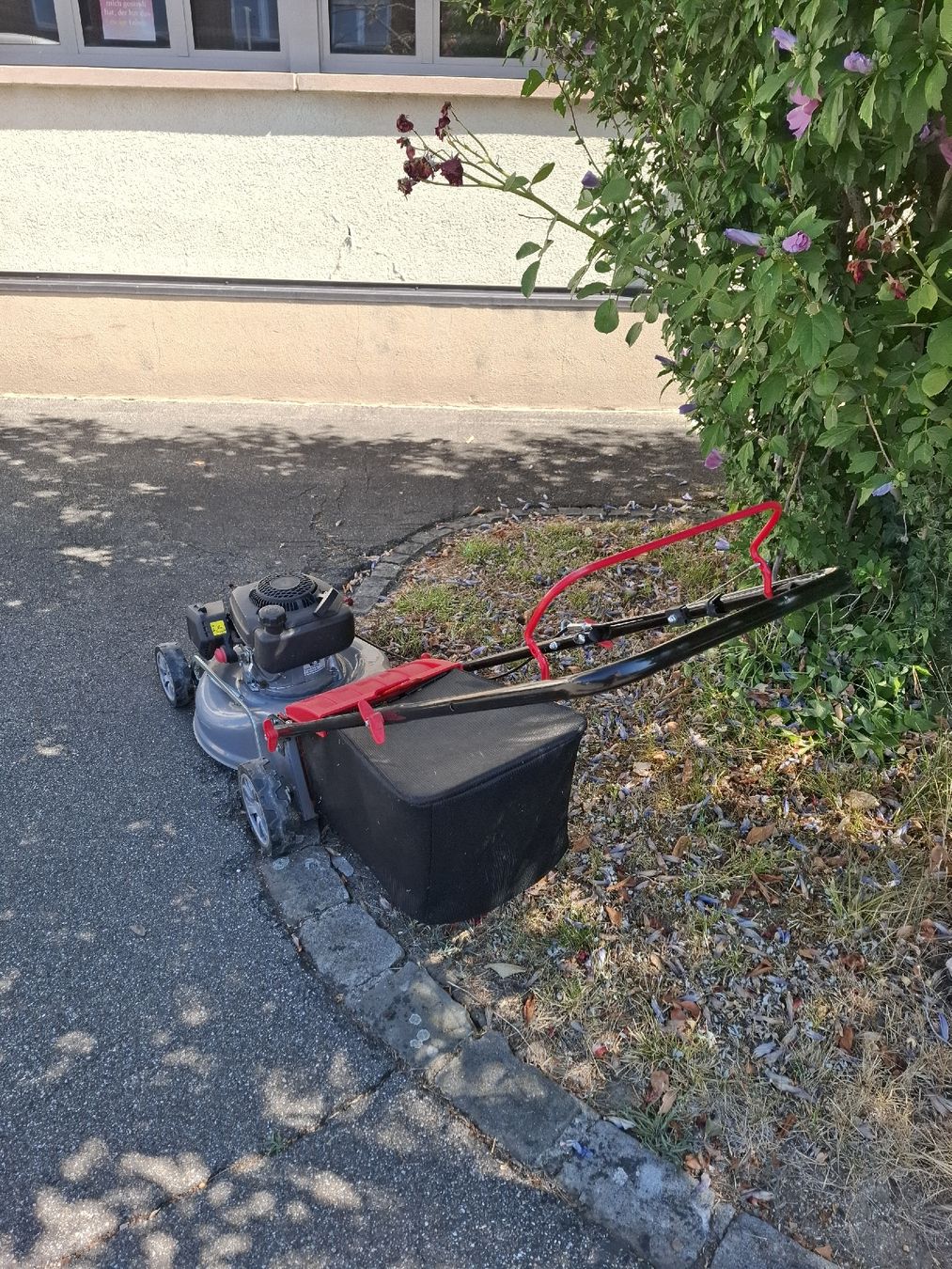 Rasenmäher: Kleiner Rasenmäher Benzin – Gebraucht aus Reinach BL von chlaus04 2
