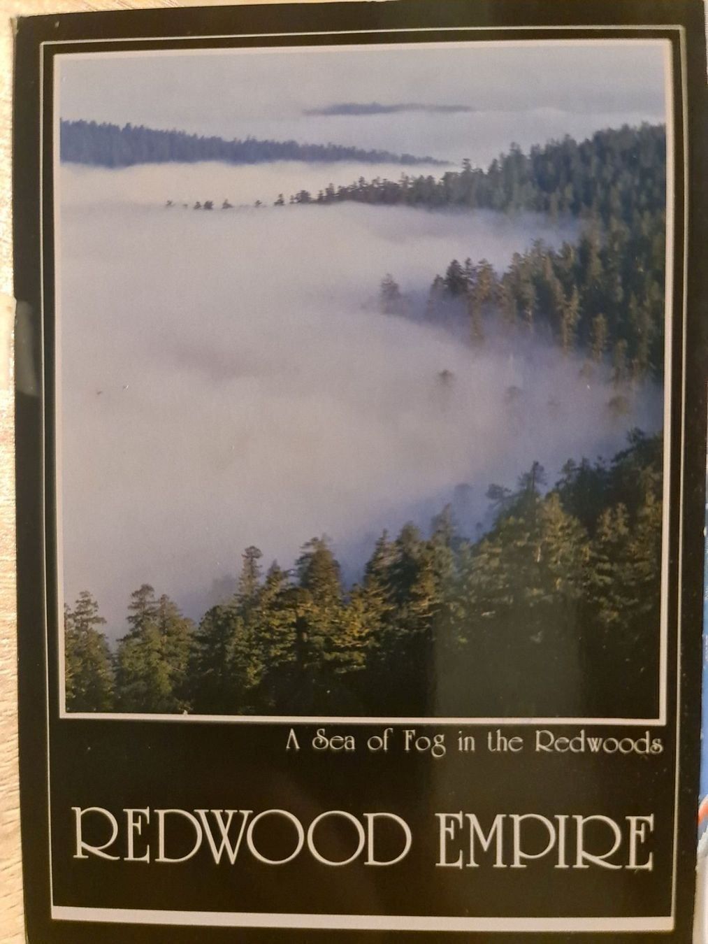 Ansichtskarten: Ansichtskarte Redwood empire – Gebraucht aus Dintikon von Vexi