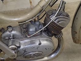 Panther Bobby 1954