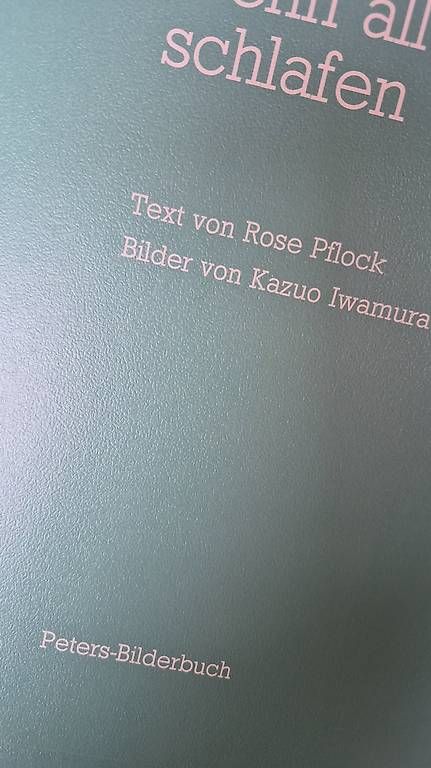 Libri: Bilderbuch – Usato da Zofingen venduto da PiaZ0102 2
