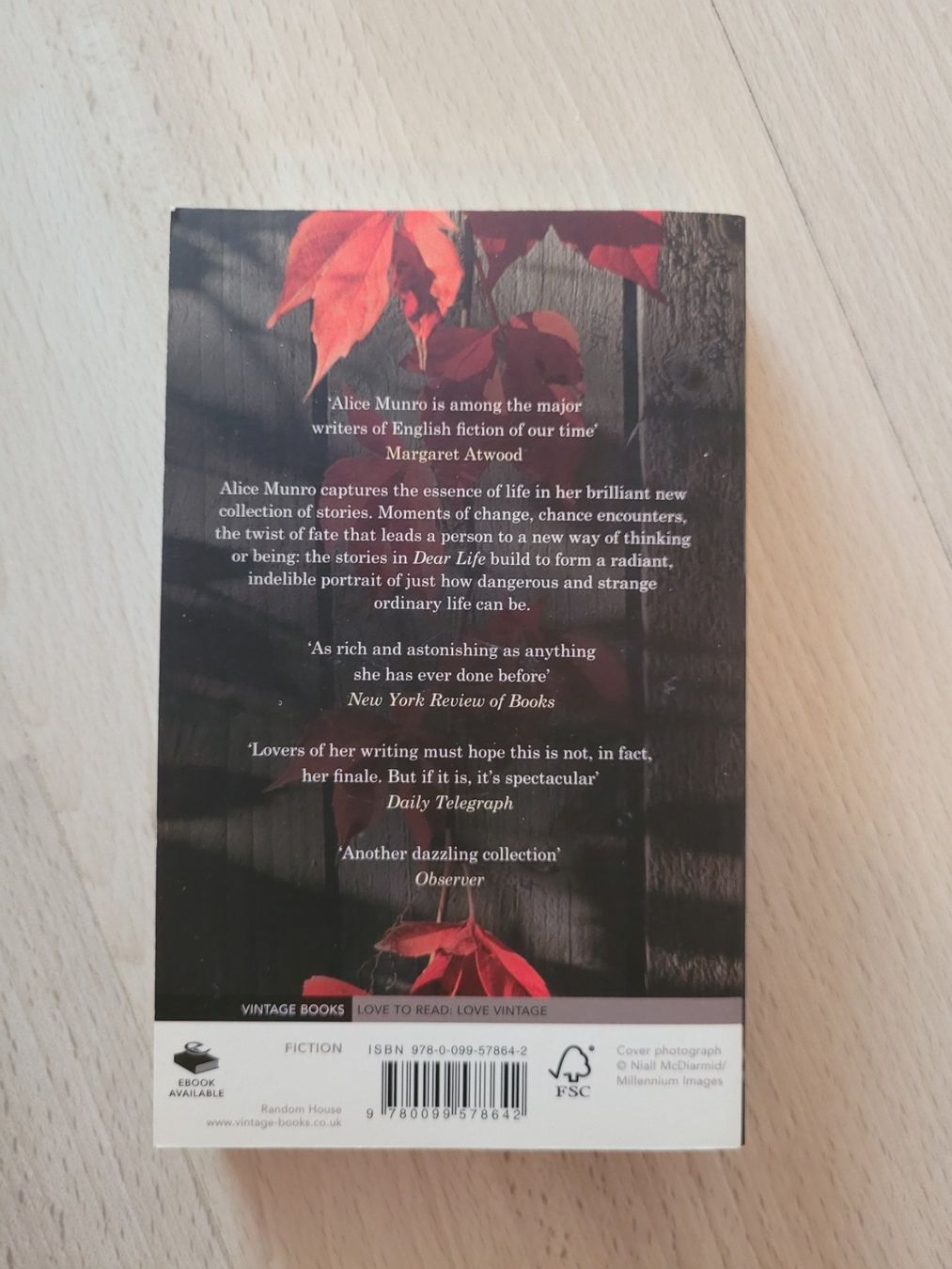Libri: Dear Life – Usato da Perlen venduto da Safari_23 1