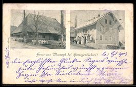 AK Wanzwil bei Herzogenbuchsee, Gasthaus, Haus mit Rindern