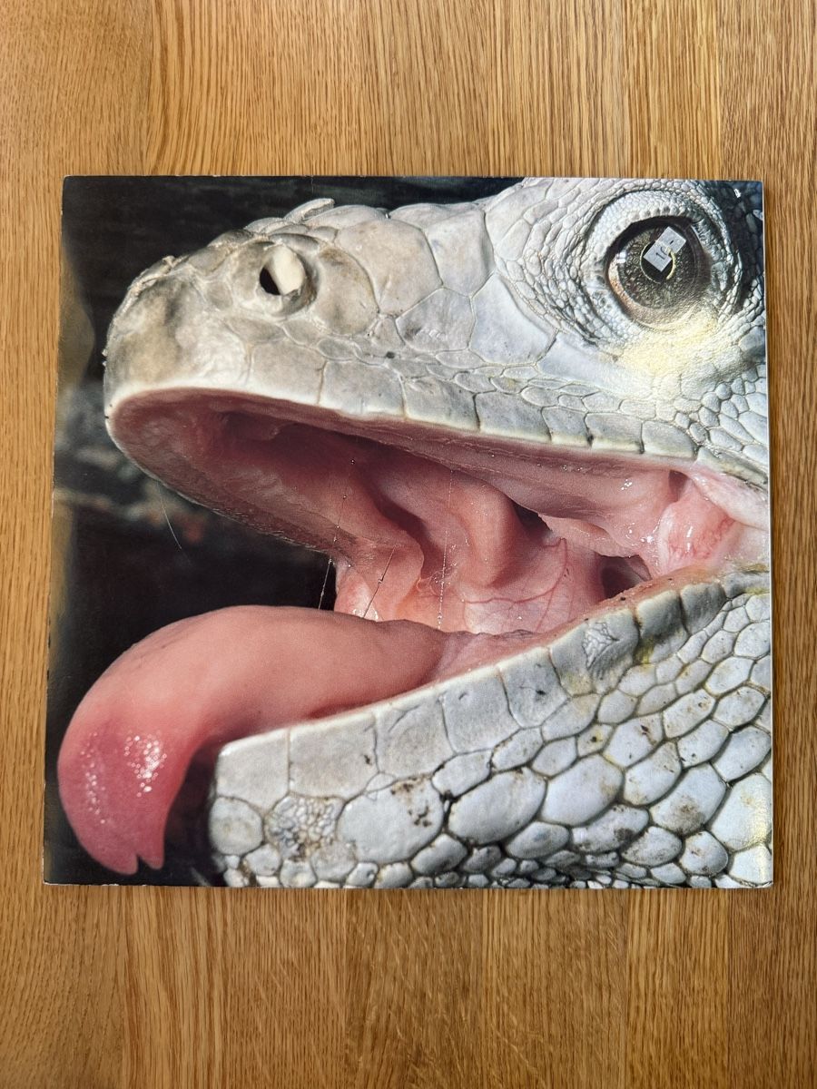Dischi in vinile: RMB - RMB Trax (Hardtrance) – Usato da Grafstal venduto da cacau25 2