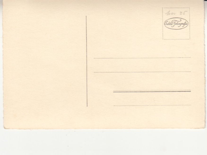 Cartoline postali: Fröhliches Pfingstfest ca. 1930 – Usato da Bürglen TG venduto da StampGraf 1