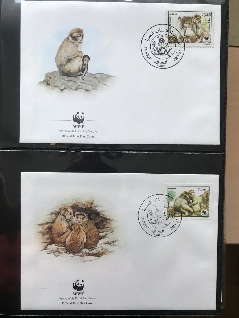 Tutti i francobolli: Algerien 1988 Satz WWF Berberaffe Ersttagsbriefe – Nuovo (secondo la descrizione) da Liestal venduto da schnueps
