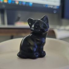 Profile image of Raniandcat