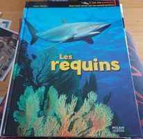Les requins de Valérie Tracqui, chez Milan Jeunesse