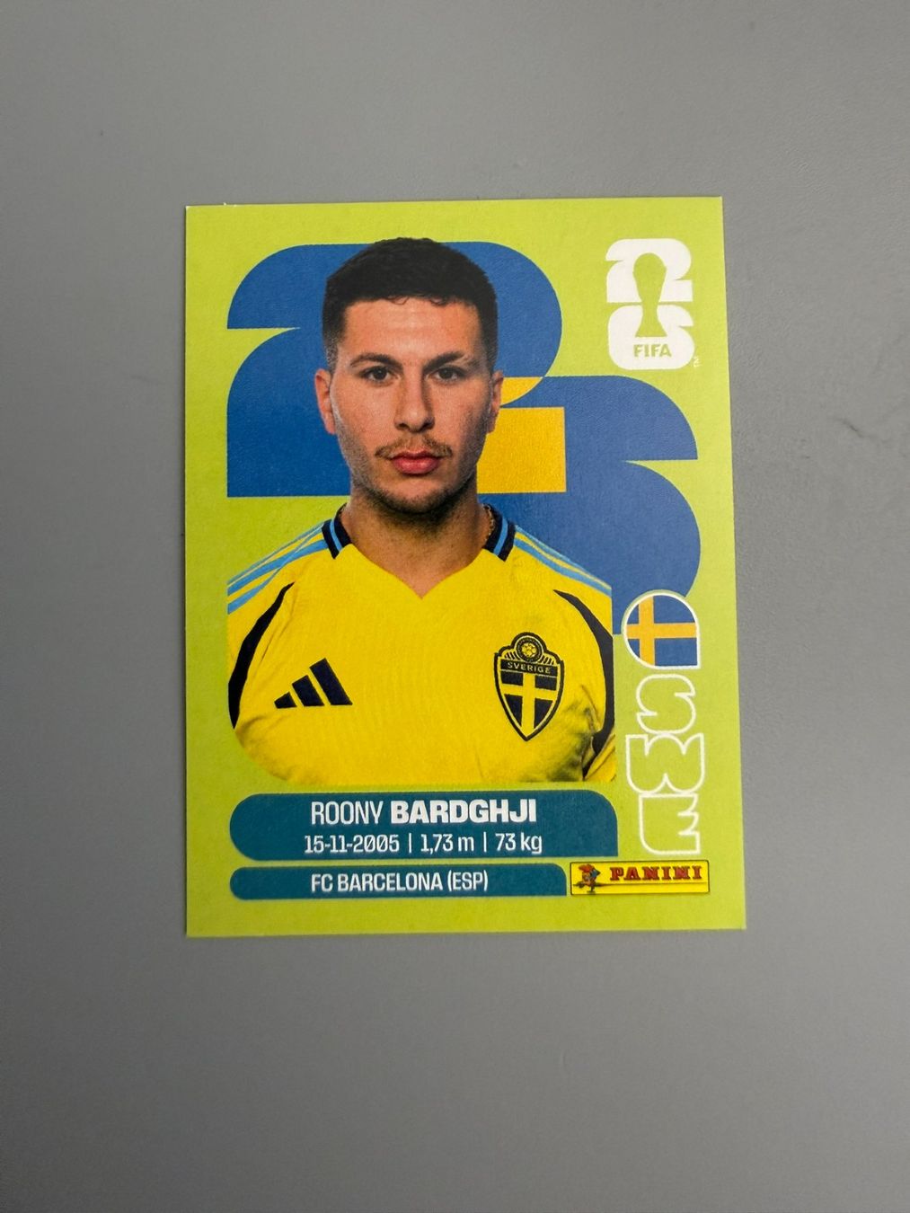Panini Cartes à collectionner: Panini Roony Bardghji SWE16 – D'occasion à Liebefeld par Ronaldo-1996