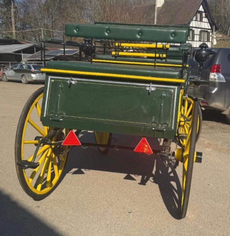 Kutschen: Jagdwagen  – Gebraucht aus Eglisau von HB9ELV 3