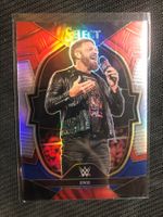 Panini Select WWE Edge Silver
