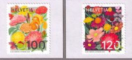 2025_BLUMEN_DUNKLE FARBVARIANTE !_EM aus 10er-Bg ! **