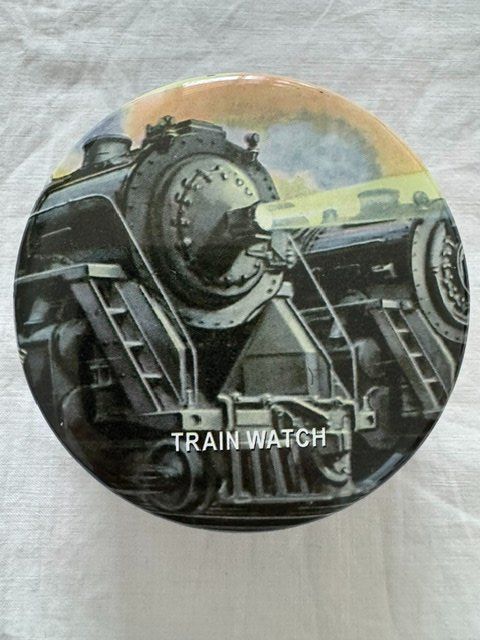 Altro in Decorazioni & Accessori: TRAIN WATCH DOSE – Usato da Honau venduto da Ritika