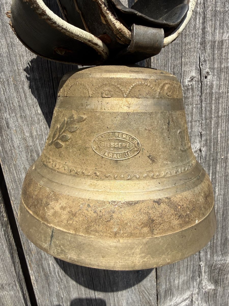 Campanacci mucche: Schöne Glocke, Peter Berger Bärau BE – Usato da Sargans venduto da foxtrading 1