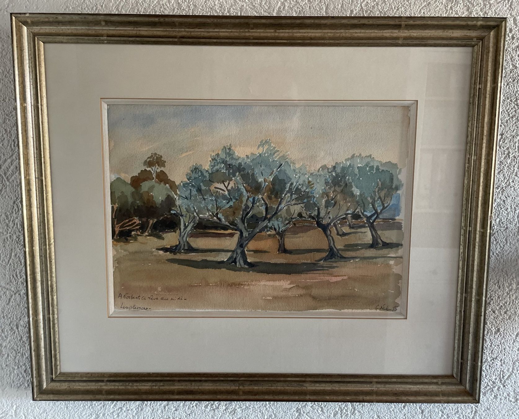Dipinti: Schönes Originales Aquarellgemälde eines Olivenhains – Usato da Gretzenbach venduto da Aktion6
