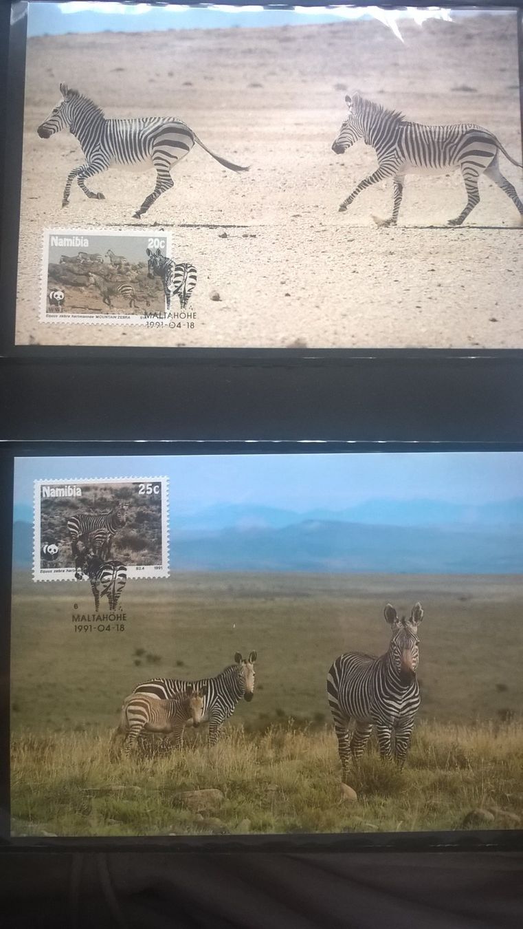 Alle Briefmarken: WWF Namibia 1991 Bergzebra Satz Maximumkarten – Neu (gemäss Beschreibung) aus Liestal von schnueps 1