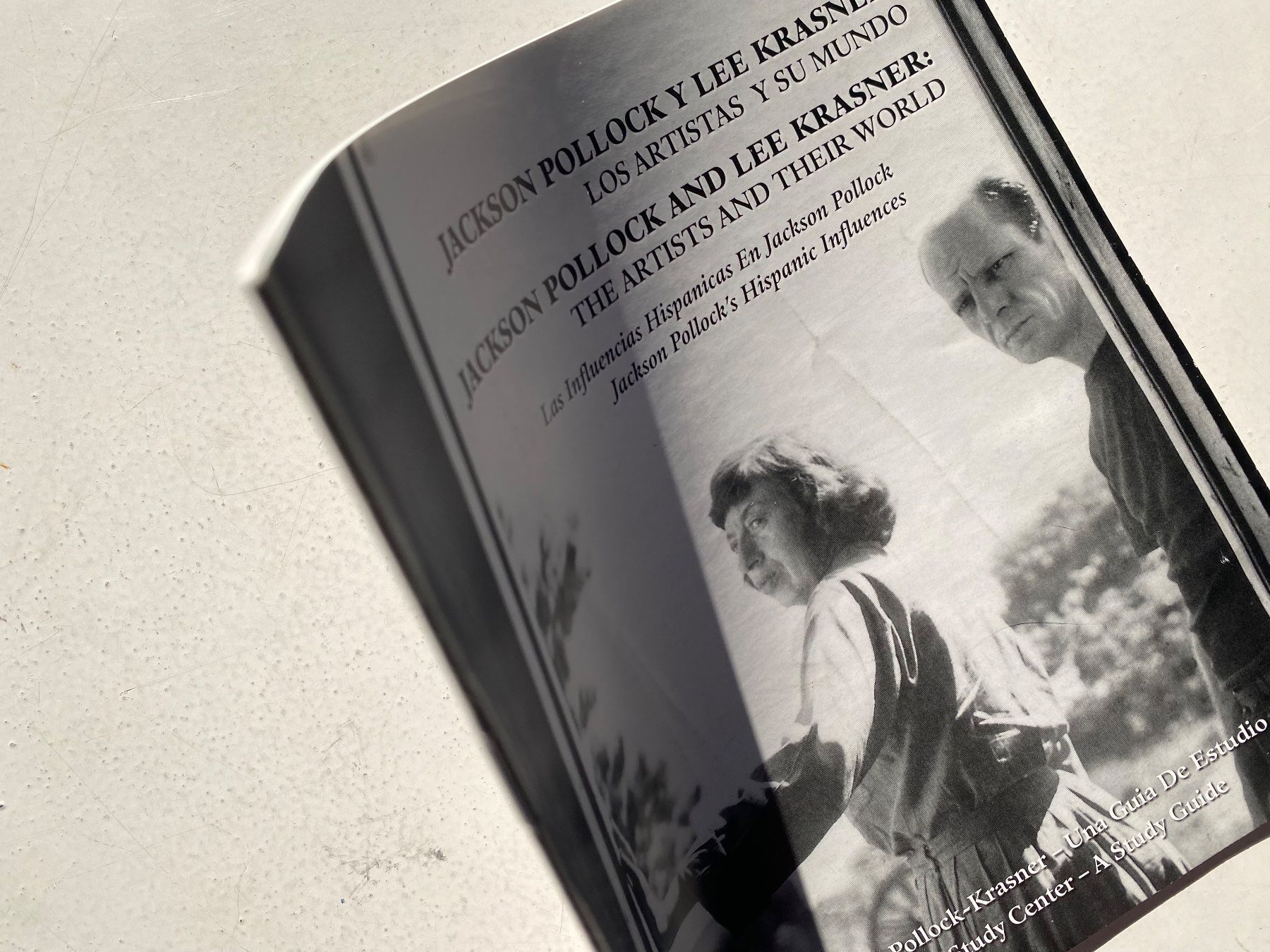 Libri: Jackson POLLOCK AND Lee  KRASNER - selten – Usato da Zürich venduto da lesgarcons 2
