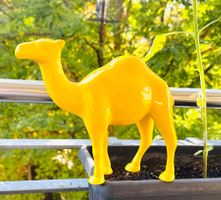 CAMEL Kamel Werbefigur Zigaretten