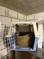Katze Zubehör Toilette Transport Box Futter Nieren Streu Bet