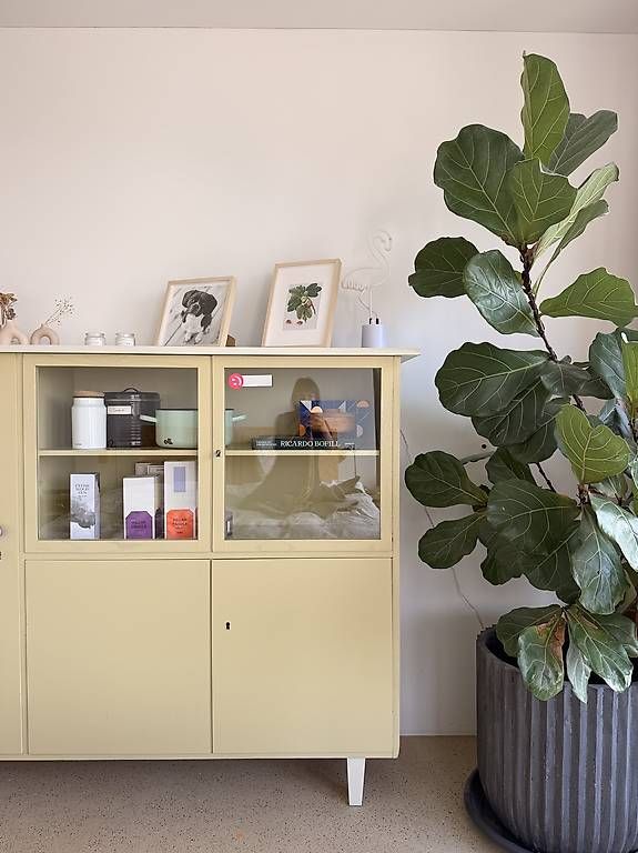 Vetrine: Highboard Massivholz – Usato da Zürich venduto da tinajulia 1