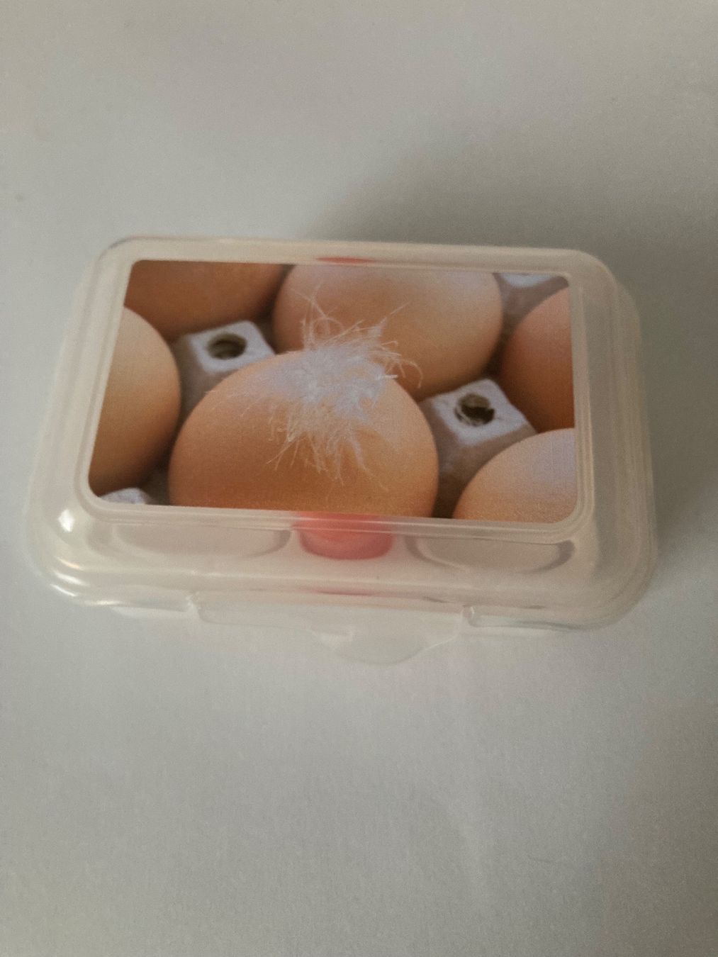 Contenitori & Simili: Boite à oeufs pic nic – Usato da Frasses venduto da soowoo12