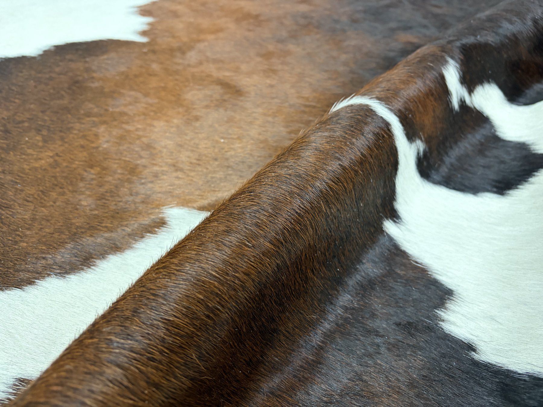 Tappeti: echtes Kuhfell Teppich exotic tricolor – Nuovo e nell'imballaggio originale da Arbedo venduto da patagonialeatherrugs 2