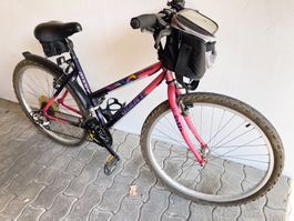 Damen- Mountainbike- Giant Coldrock