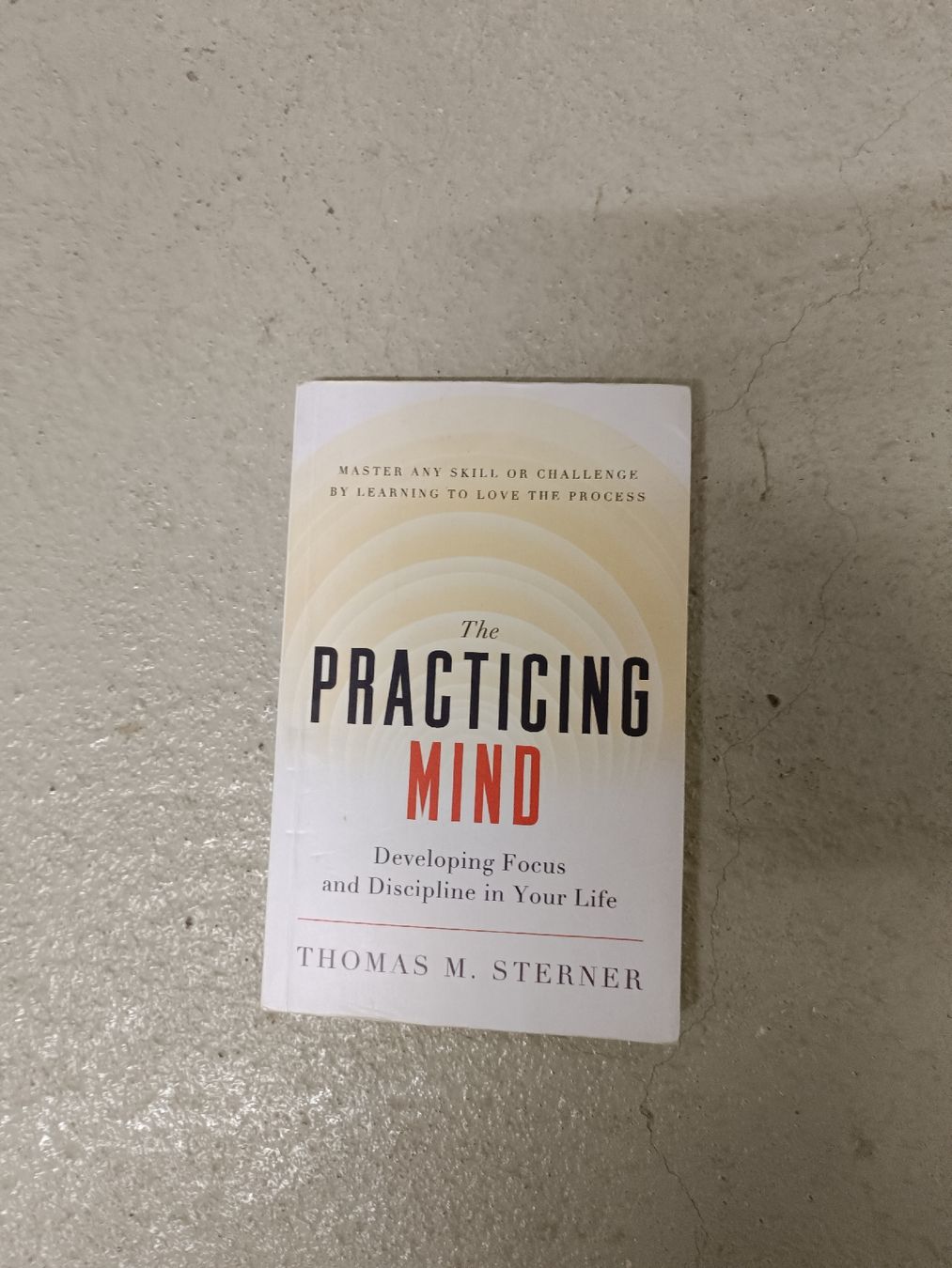 Libri: Buch: The Practicing Mind, Thomas M. Sterner – Usato da Liesberg Dorf venduto da Tisba_swiss