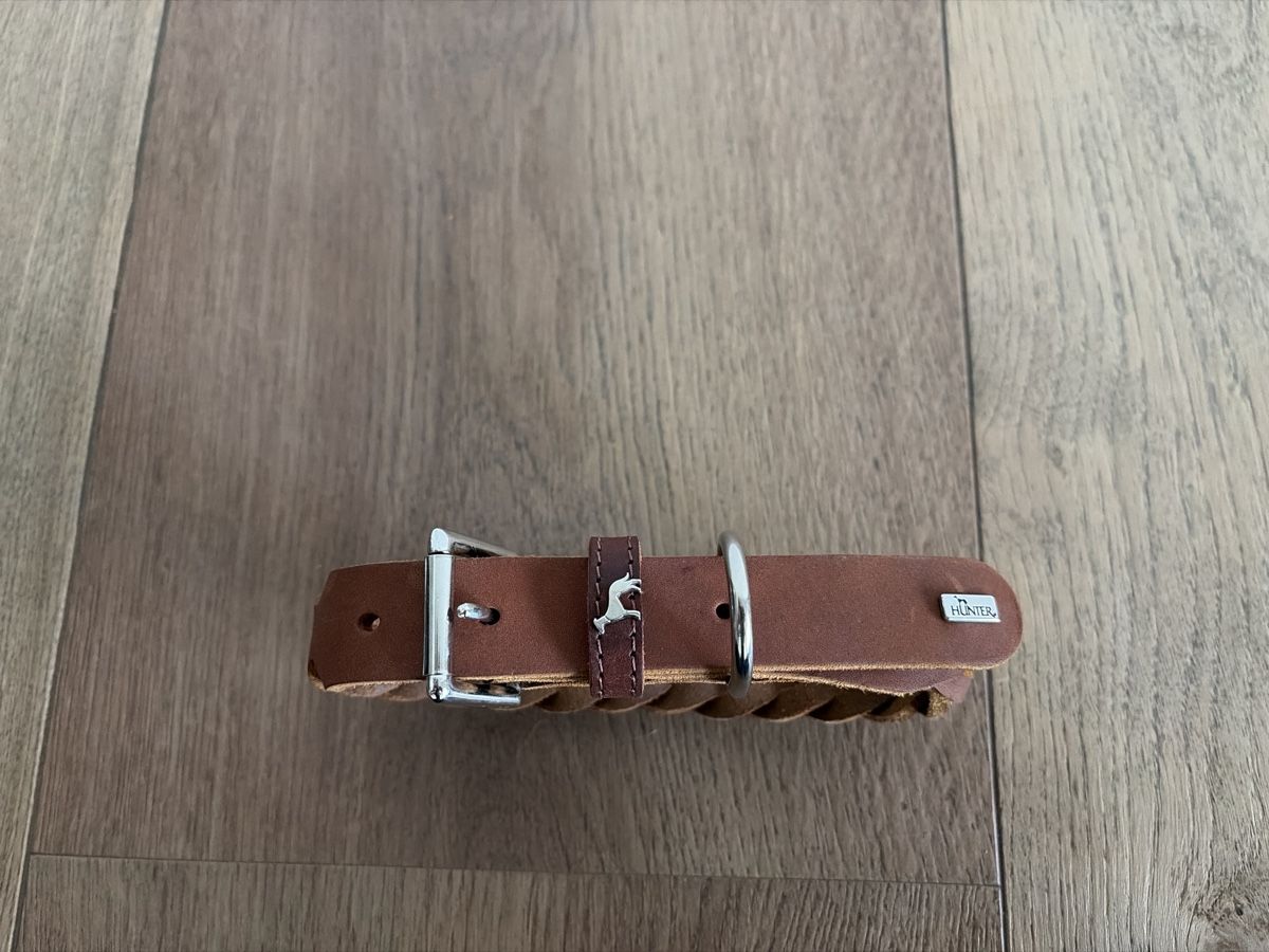 Hunter Guinzagli & Collari: Halsband Leder (Hunter) – Nuovo (secondo la descrizione) da Greifensee venduto da erdmannli333