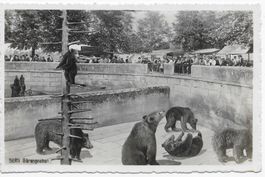 Bärengraben um 1934
