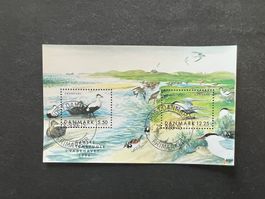 1999 Dänemark  Block Erstag  (A389)