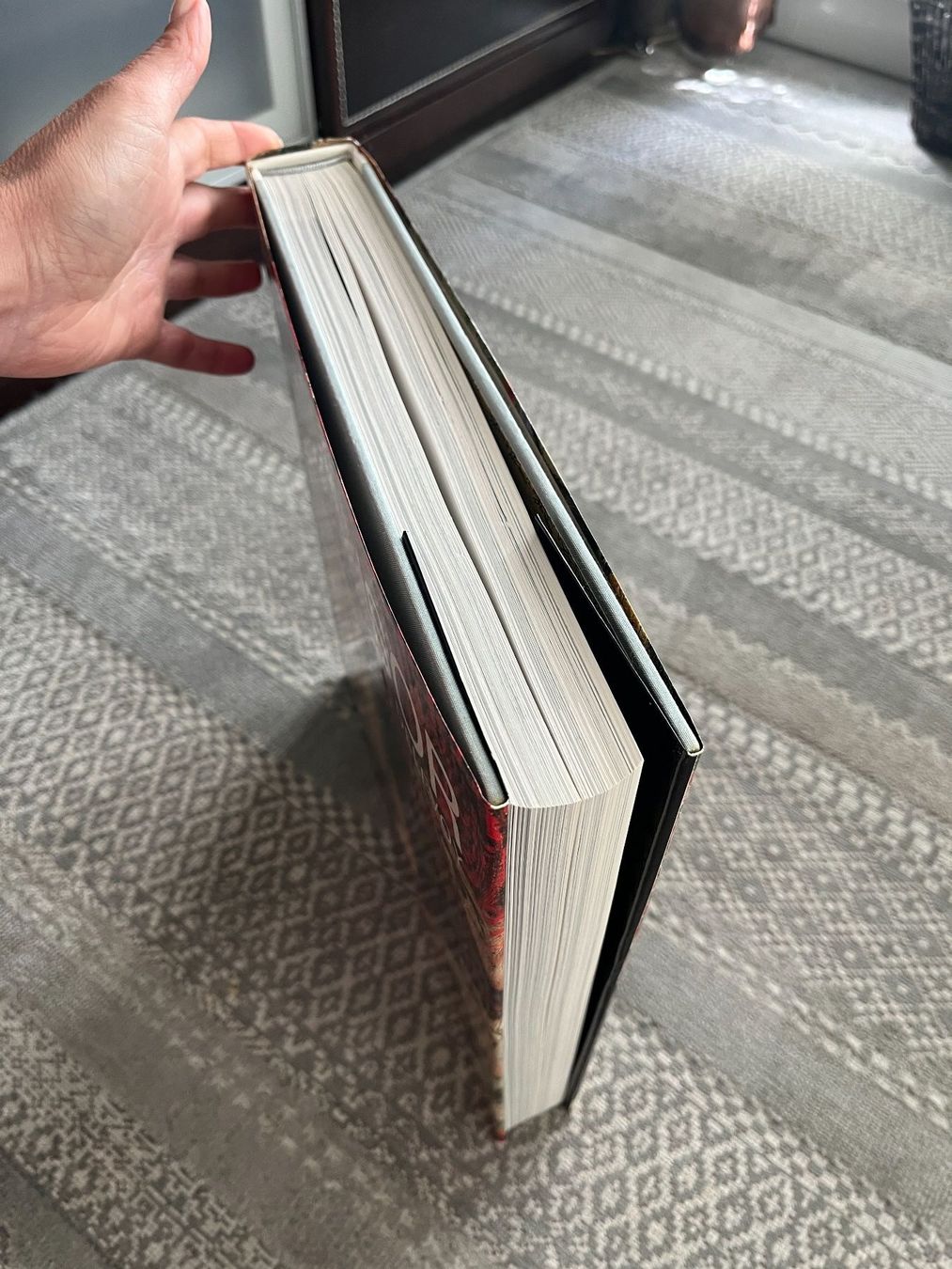 Bücher: ENSOR ROBERT L. DELEVOY – Gebraucht aus Lausanne von Kinga_Shopaholic 7