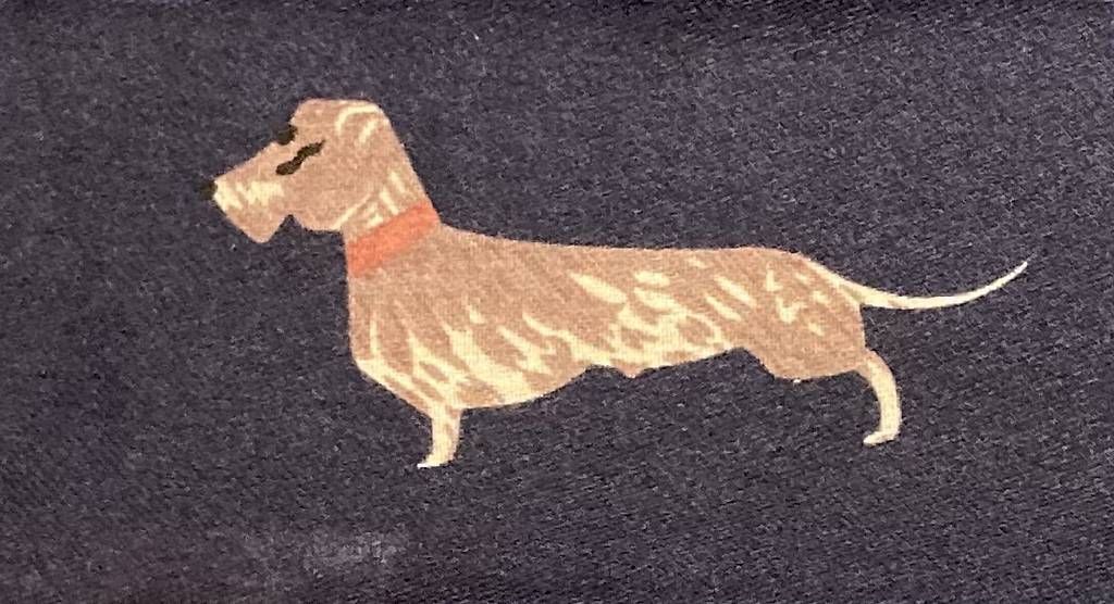 Foulards & écharpes: Schal mit Hundemotiven – D'occasion à Bellach par lia_26tj 2