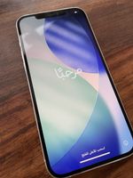 iPhone 12 Pro Max 256G